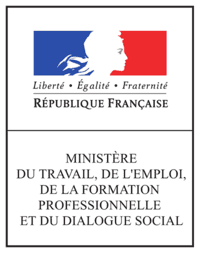 Logo Ministère de Travail, de l'Emploi et de l'Insertion, partenaire de l'association Les ateliers du Savoir Fer - Le Savoir Fer